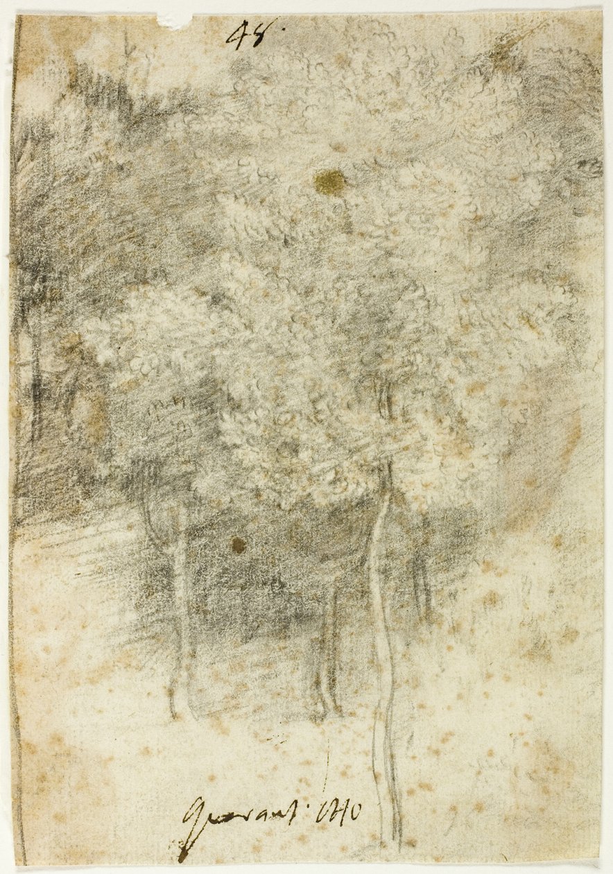 Bosque das Árvores de Federico Barocci