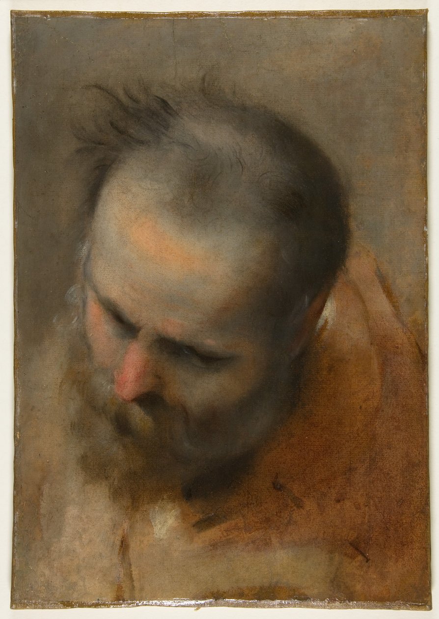 Cabeça de um homem barbudo a olhar para o canto inferior esquerdo (Nicodemos) de Federico Barocci