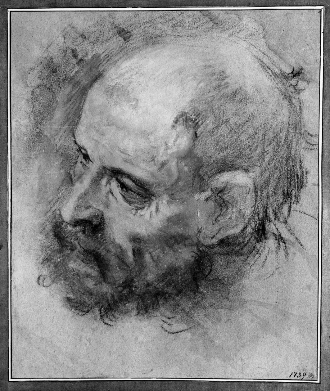 Estudo de cabeça de um homem barbudo virado para a esquerda e inclinado para o lado de Federico Barocci
