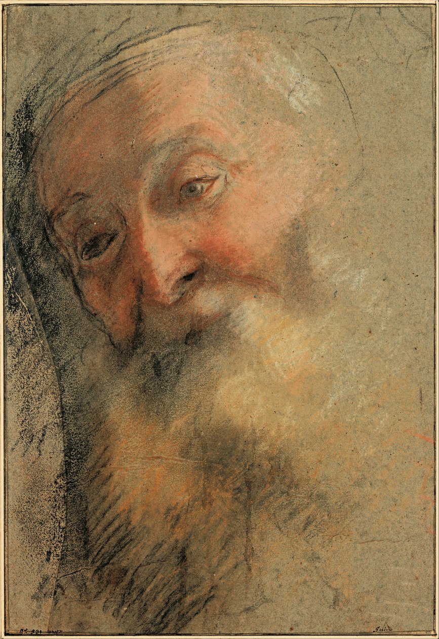 Cabeça de um homem velho e barbudo de Federico Barocci