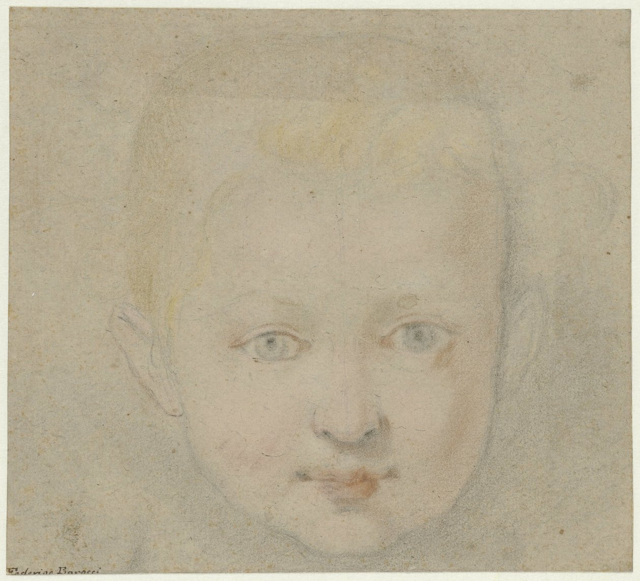 Cabeça da criança de Federico Barocci