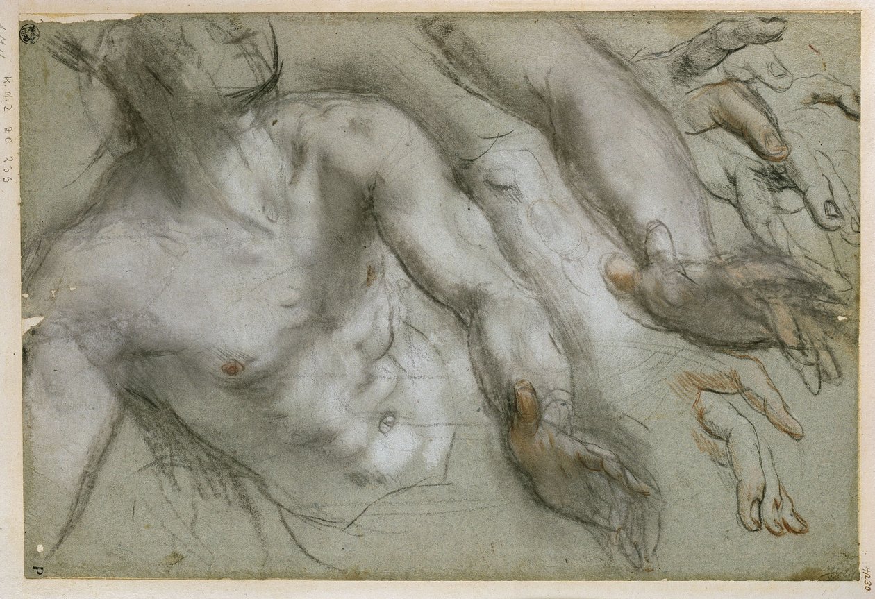 Estudo para a figura do santo no quadro «Martírio de São Vital» de Federico Barocci