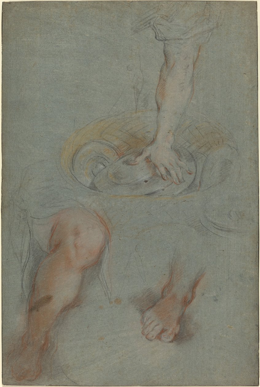 Estudos para um servo em "A Última Ceia" de Federico Barocci