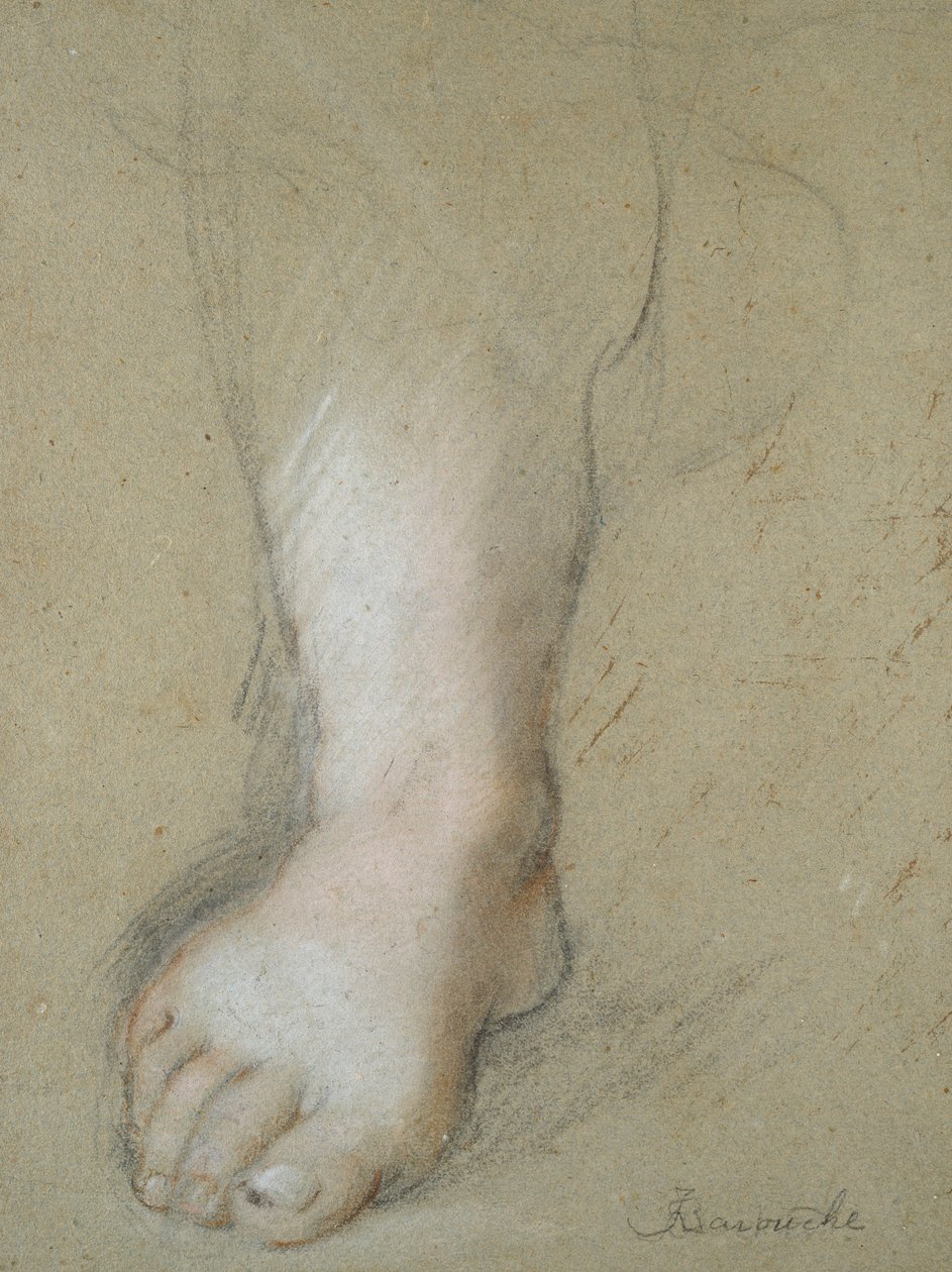 Estudo de um pé, final do século 16 de Federico Barocci