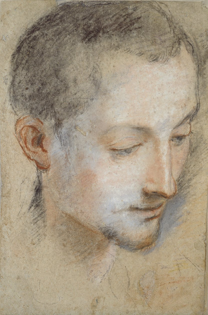 Floresta. de Federico Barocci
