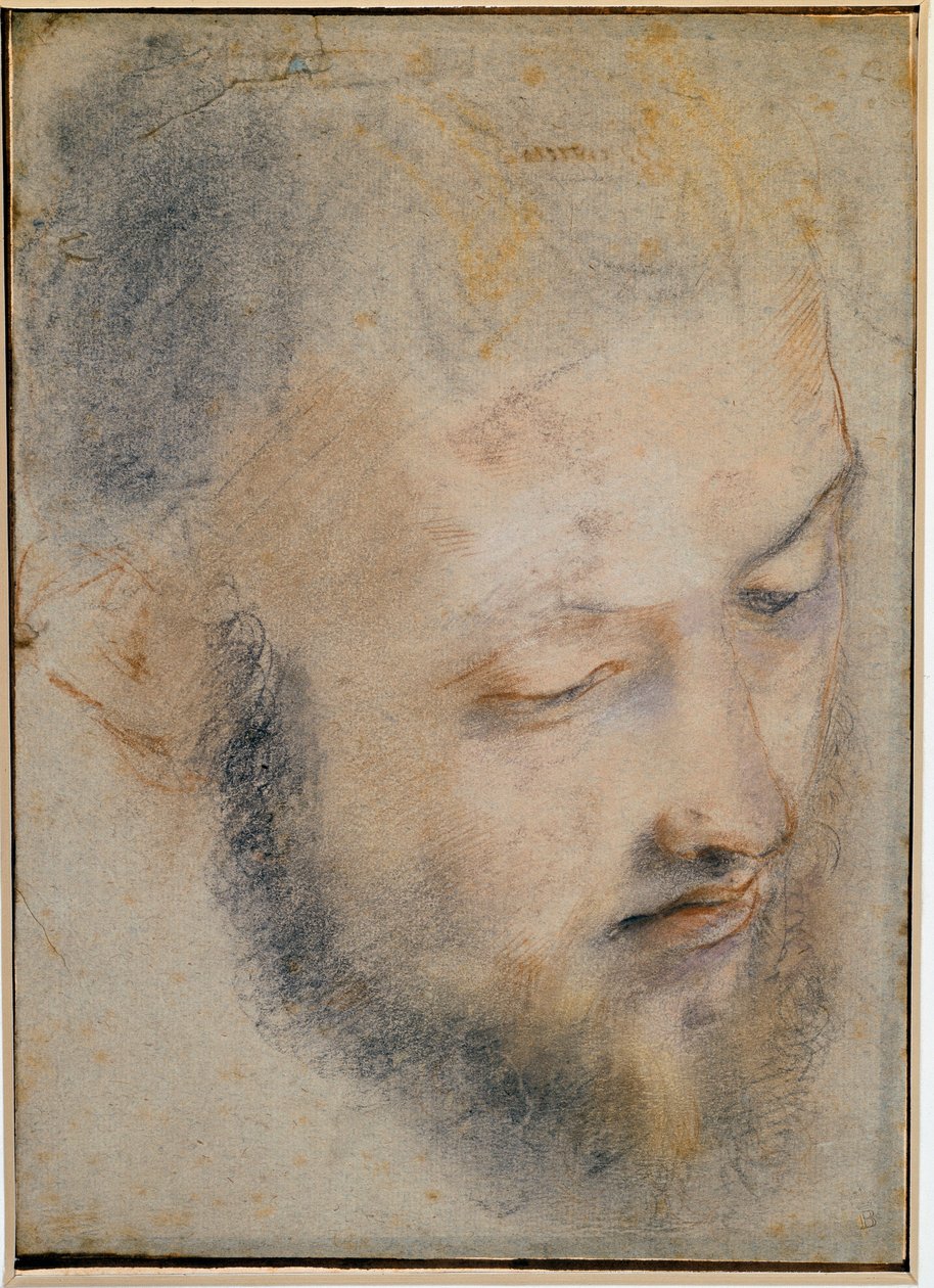 Estudo do desenho da cabeça por Barocci de Federico Barocci