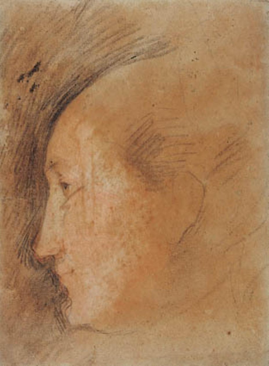 Cabeça de mulher de perfil à esquerda de Federico Barocci