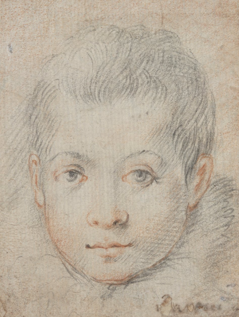 Chefe de um menino de Federico Zuccaro