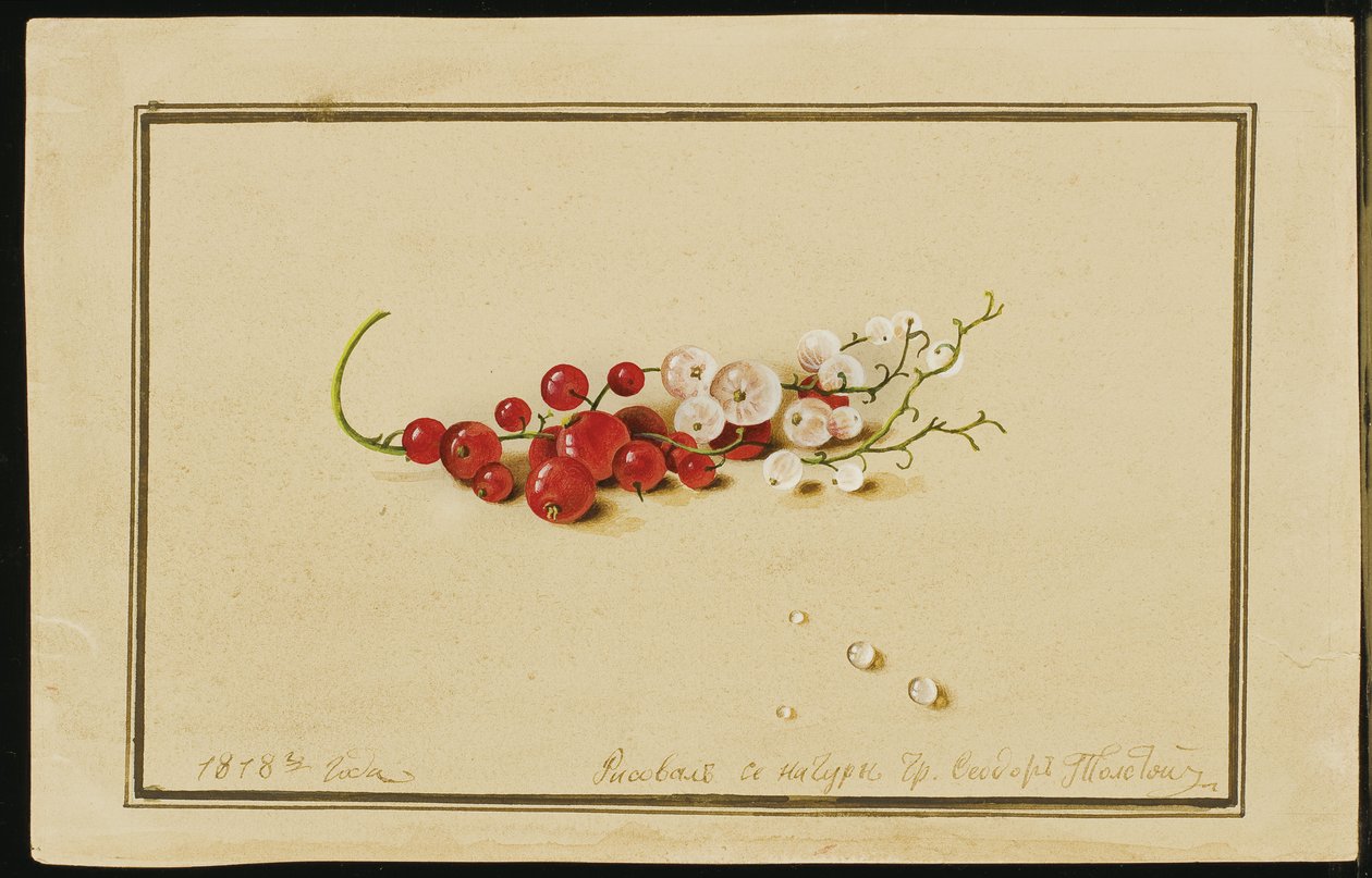 Corintos vermelhos e brancos, 1818 de Fedor Petrovich Tolstoy
