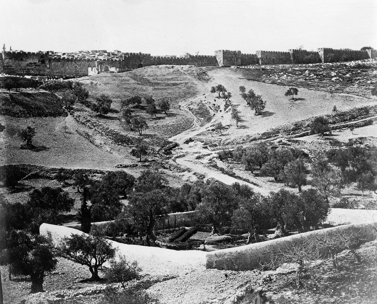 Jardim do Getsêmani, 1857 de Felice Beato