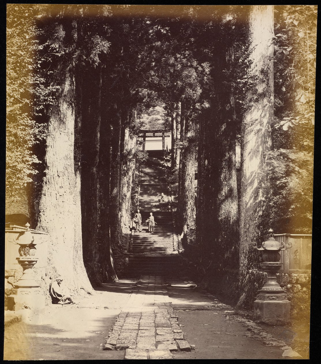 [Avenida arborizada que conduz a um templo em Hakoni] de Felice Beato