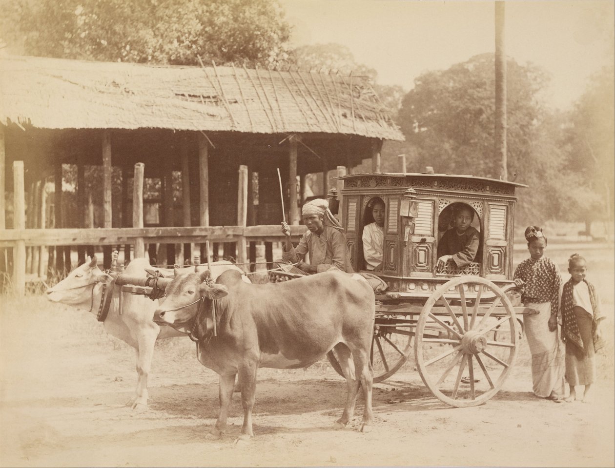 Transporte público birmanês de Felice Beato