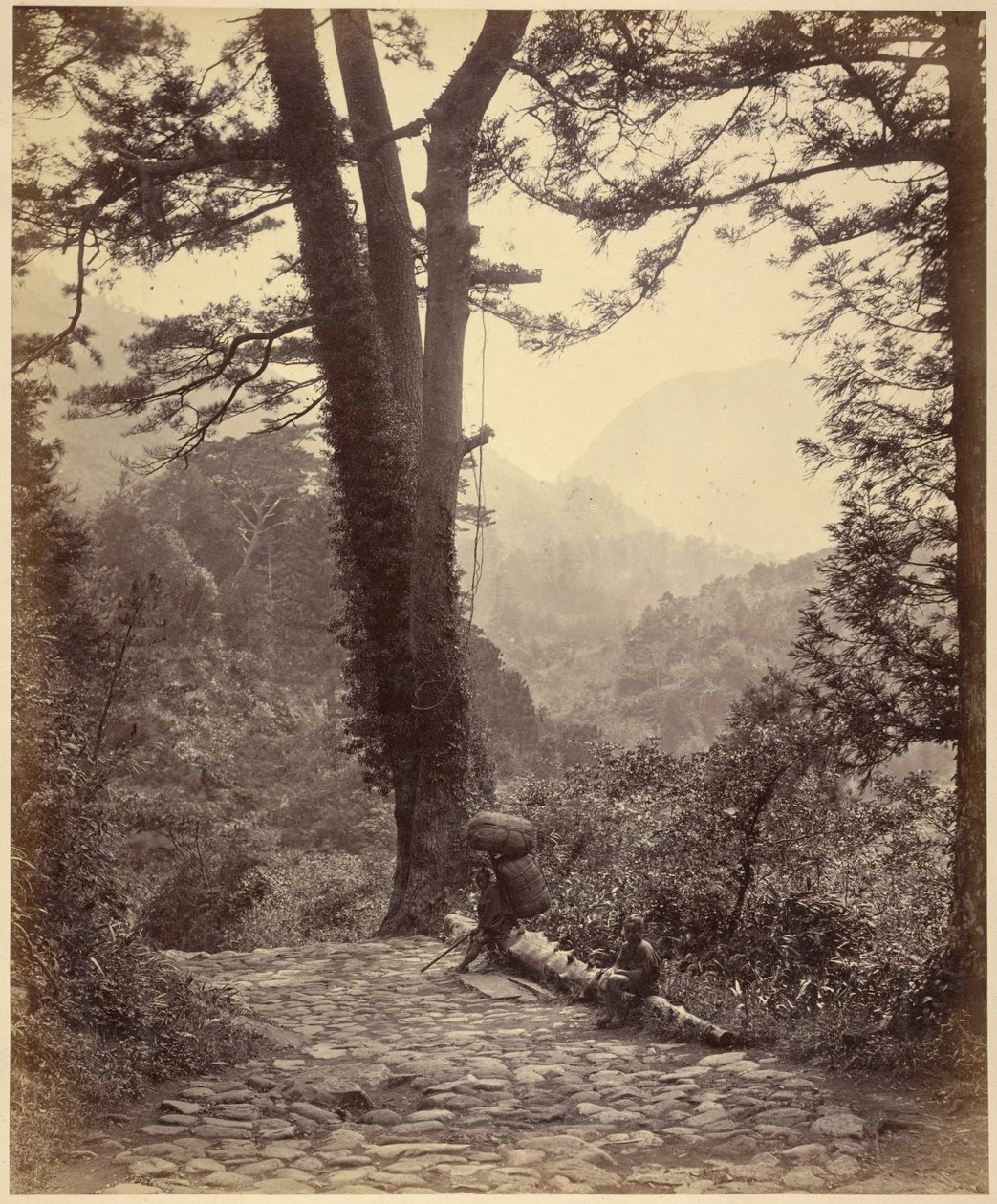 Vista do desfiladeiro de Hakone de Felice Beato