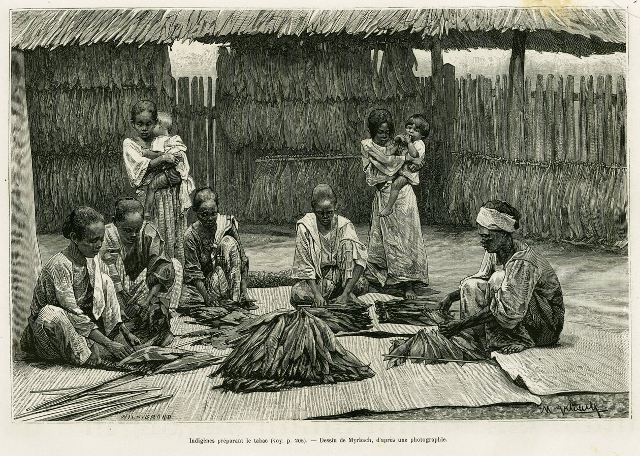 Indígenas que fazem tabaco. Gravado por Myrbach para ilustrar a história Lucon e Palaouan, seis anos nas Filipinas, por Alfred Marche (1844-1898), em le tour du monde 1886, dirigido por Edouard Charton (1807-1890), Hachette, Paris. de Felicien baron de Myrbach Rheinfeld