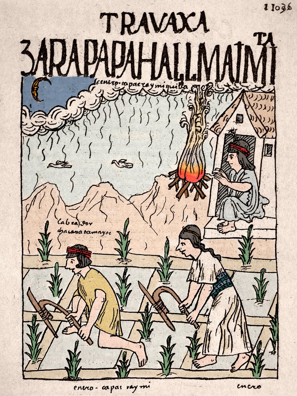 Império Inca: Um casal de índios da classe Hatun Runa trabalha a terra em janeiro - Desenho de tinta do manuscrito de Don Felipe Puma de Ayala "Nueva coronica y buen gobierno" ilustrando a vida dos Incas - século 16 (Um casal de índios da runa Hatun de Felipe Huaman Poma de Ayala