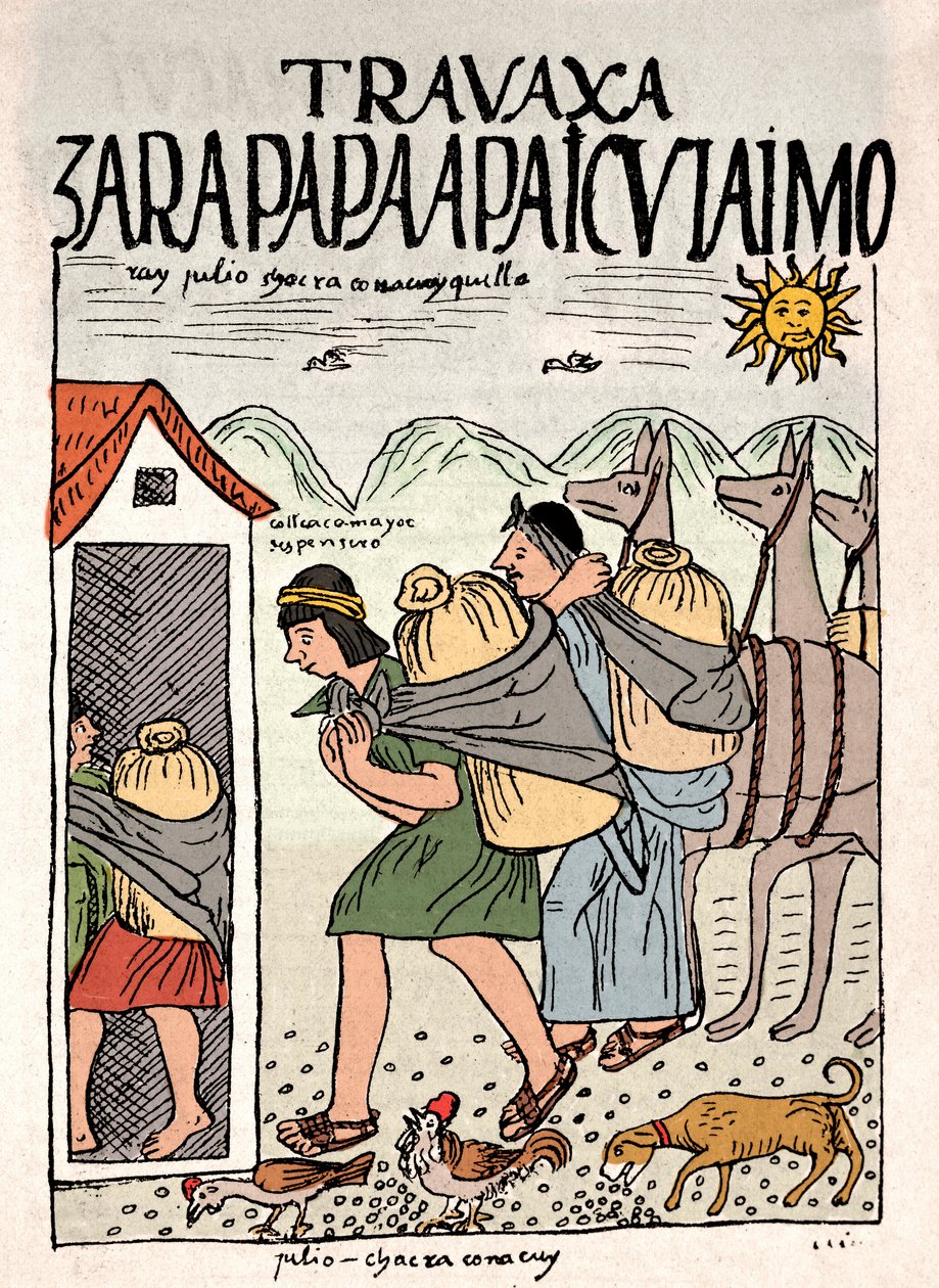 Império Inca: Camponeses incas trabalhando no campo em julho - Desenho de tinta do manuscrito de Don Felipe Puma de Ayala "Nueva coronica y buen gobierno" ilustrando a vida dos incas, cerca de 1587 Lima, Museo Nacional de Antropologia, Arqueologia e Histor de Felipe Huaman Poma de Ayala