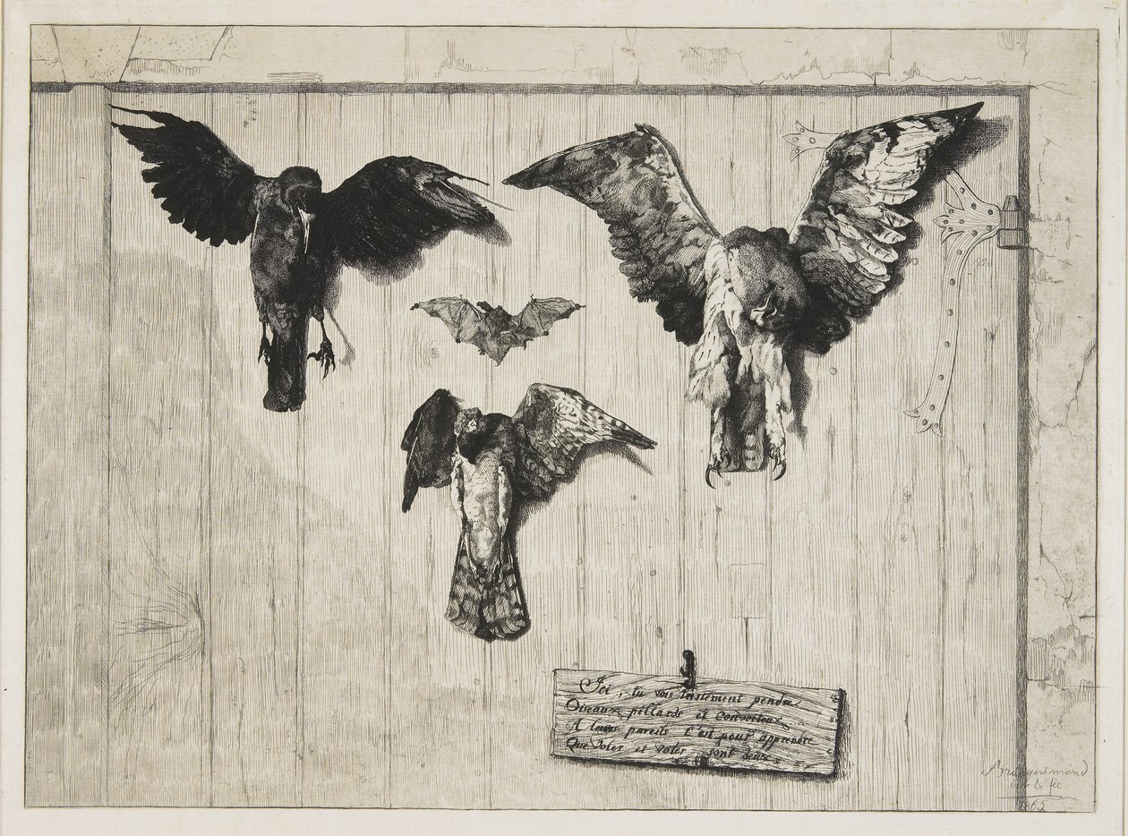 A parte superior de um painel de porta, 1852-1865 de Felix Bracquemond