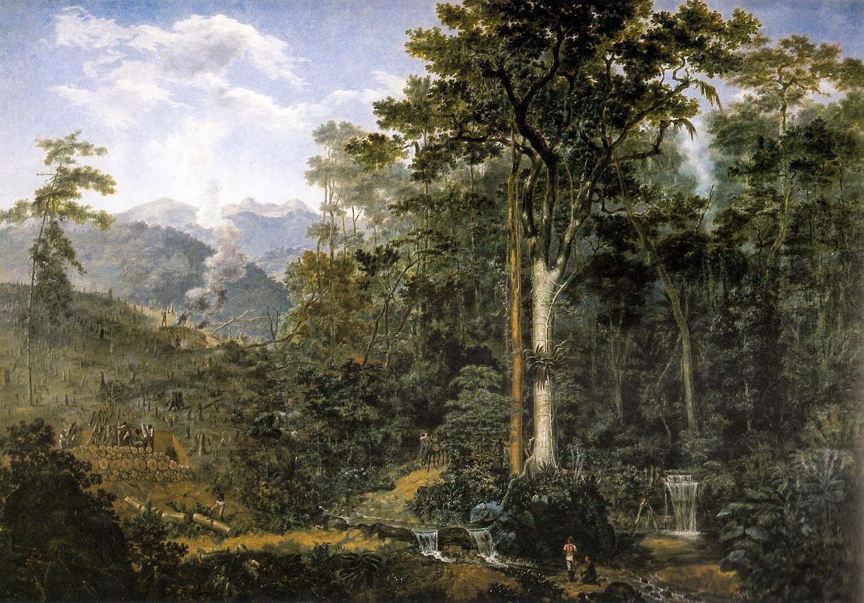 Vista de uma floresta virgem reduzida a carvão de Felix Taunay, Baron of Taunay