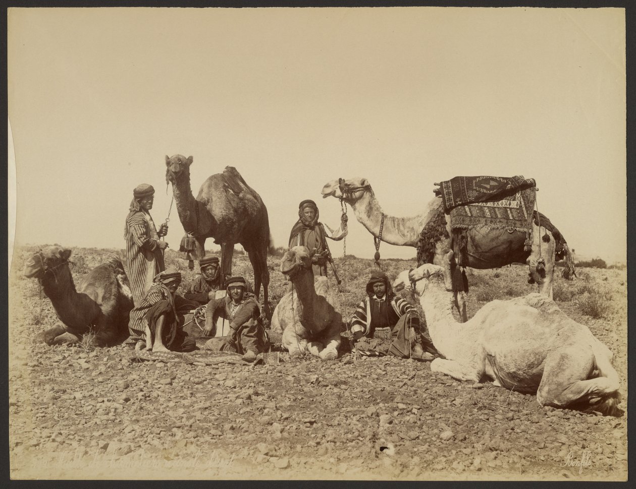 Paragem de cameleiros no deserto de Félix Bonfils