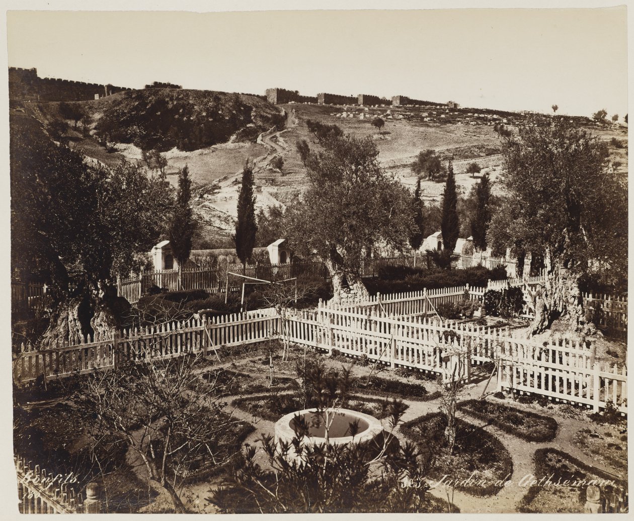 Jardim do Getsémani n.º 303 de Félix Bonfils