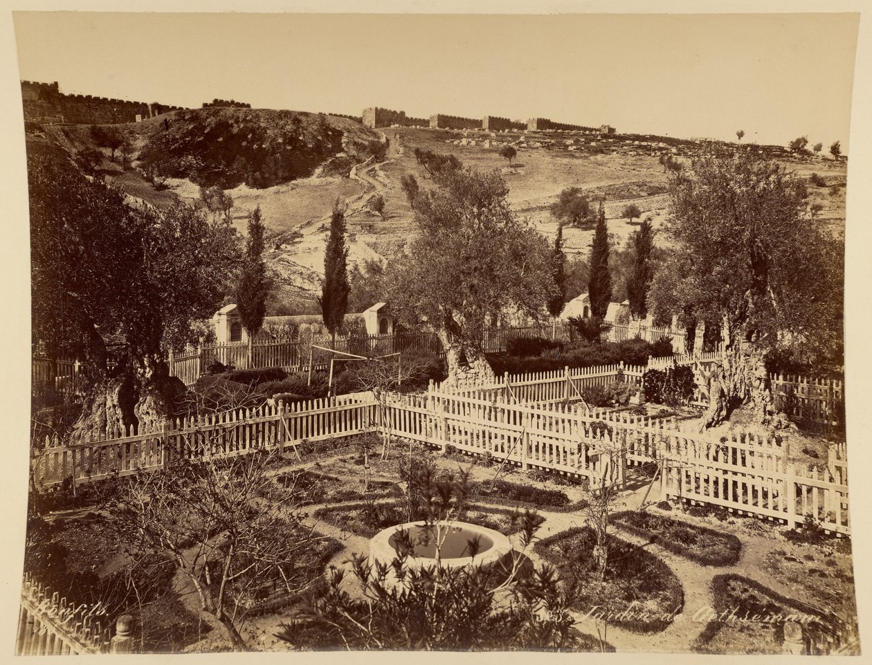 Jardim do Getsémani de Félix Bonfils