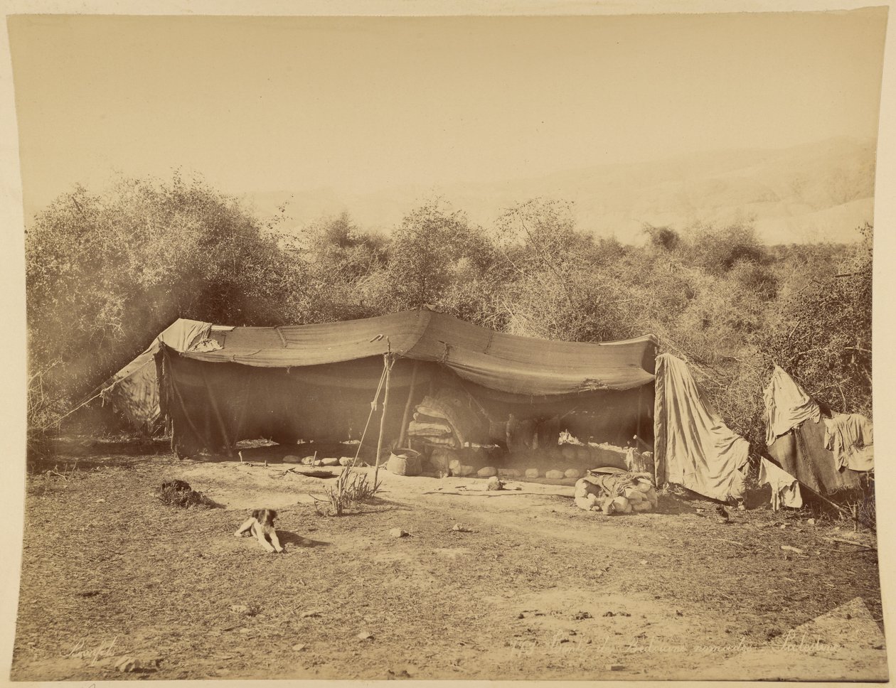 Tenda de beduínos nómadas, Palestina de Félix Bonfils