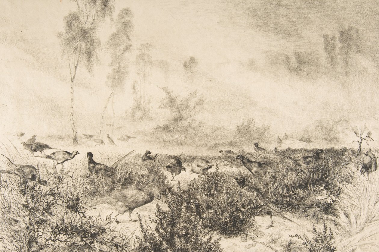 Névoas da manhã, 1882. de Felix Bracquemond