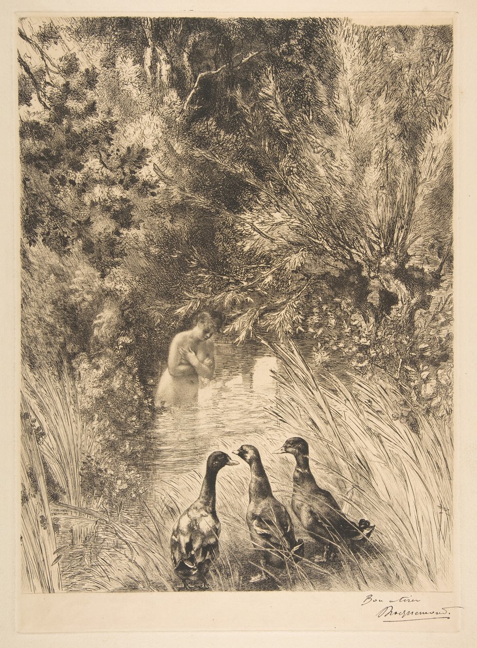 Patos surpresos, 1882. de Felix Bracquemond