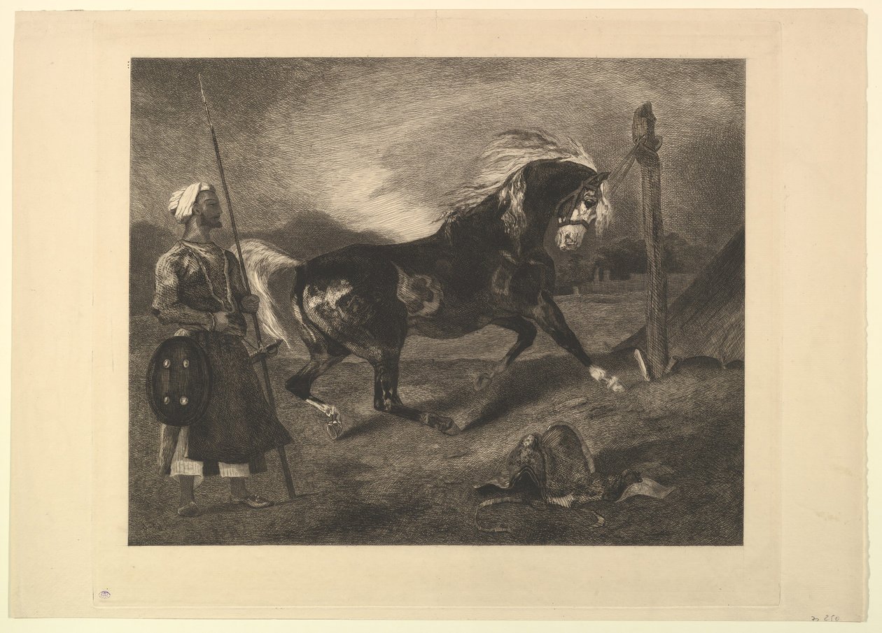Cavalo árabe com estaca, depois de Delacroix, 1857. de Felix Bracquemond