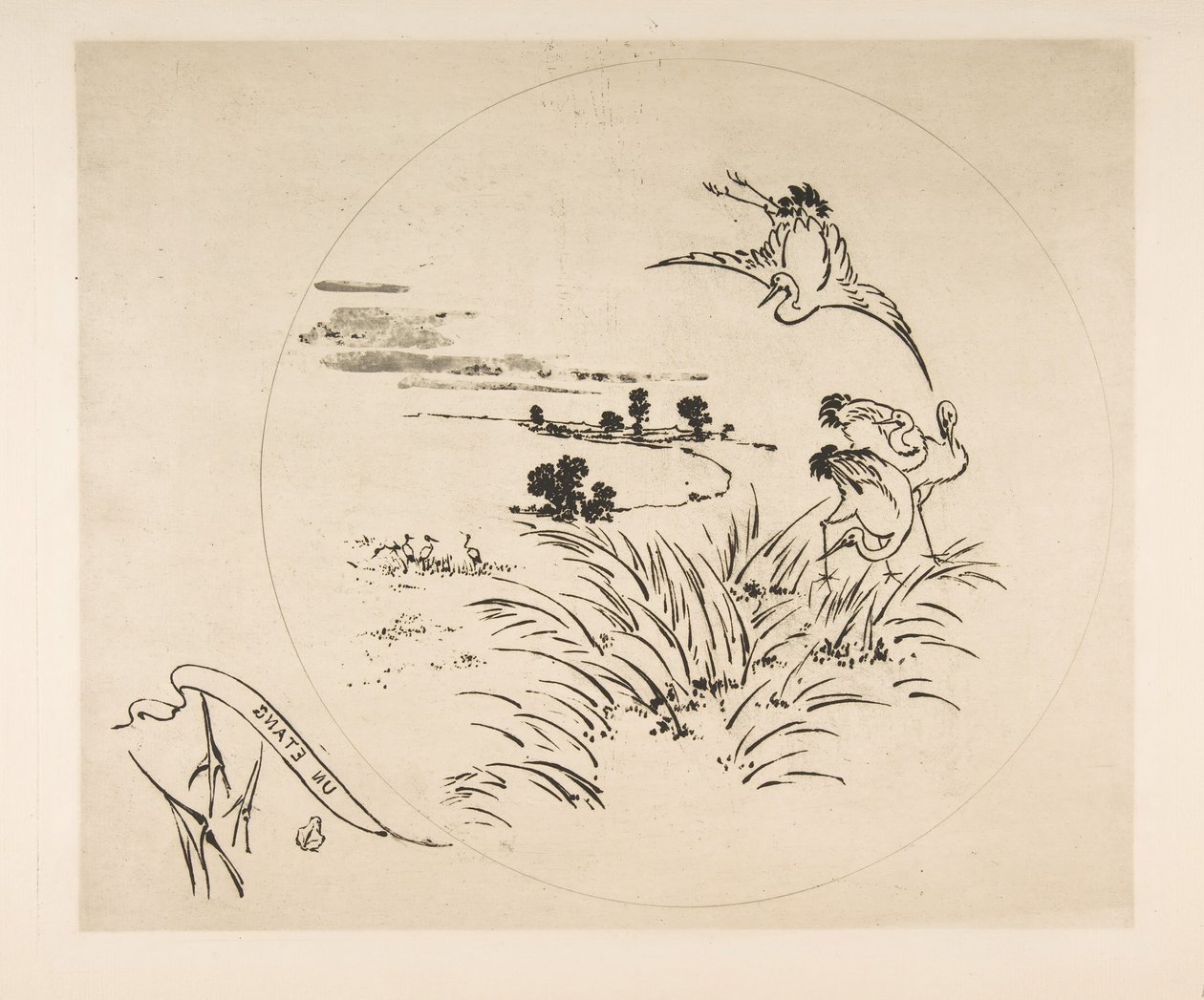 Decoração para um prato: A Pond, 1870. de Felix Bracquemond