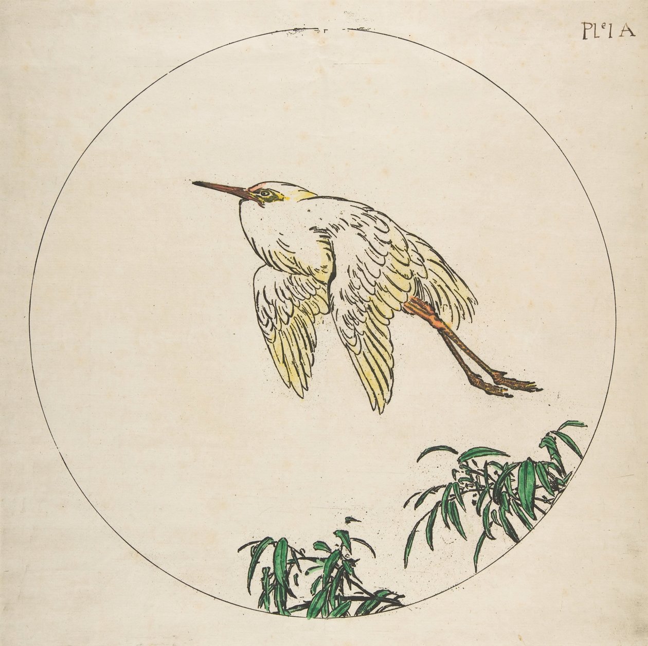 Decoração para um Prato: Uma Garça Voando Sobre Ramos de Bambu, 1850-1914. de Felix Bracquemond