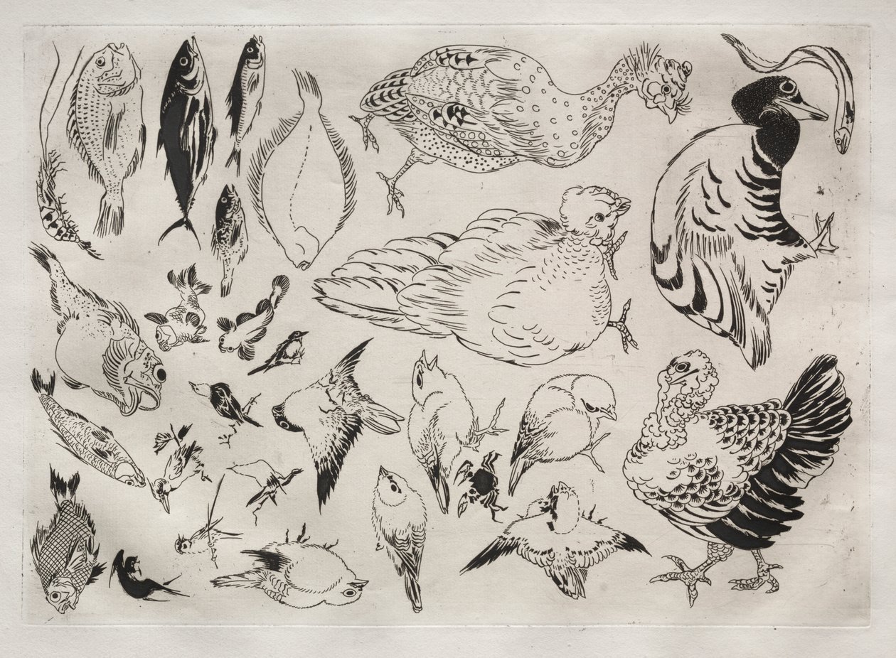 Serviço de Jantar (serviço Rousseau): Patos, peixes, etc. (nº 12) de Felix Bracquemond