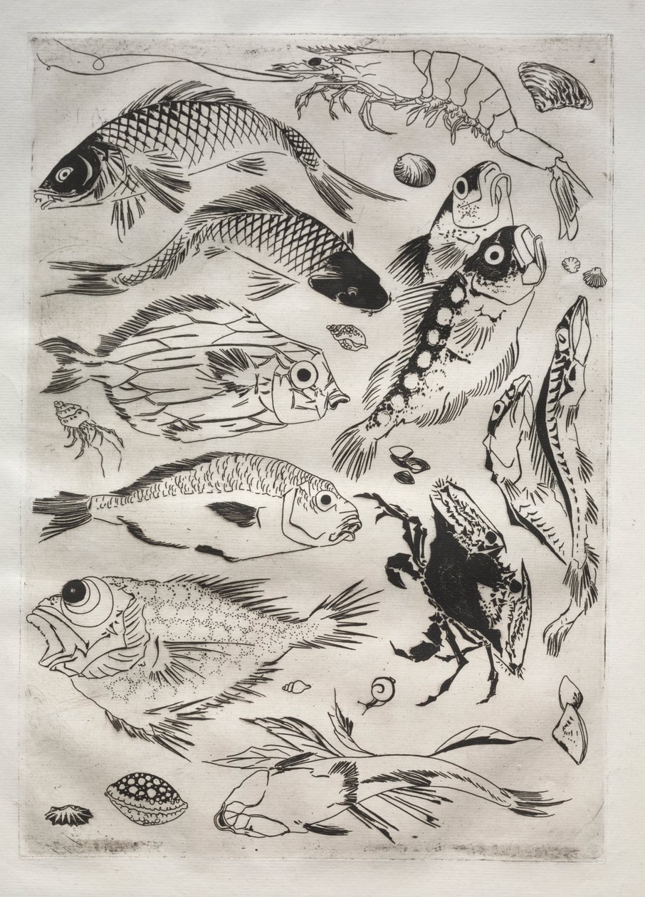Serviço de Jantar (serviço Rousseau): Peixe (nº 24) de Felix Bracquemond