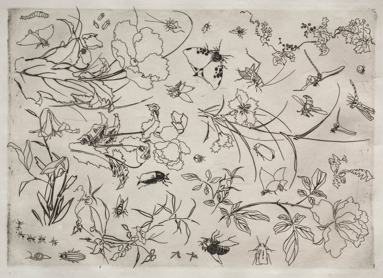 Serviço de Jantar (serviço Rousseau): Flores e Insetos (nº 15) de Felix Bracquemond
