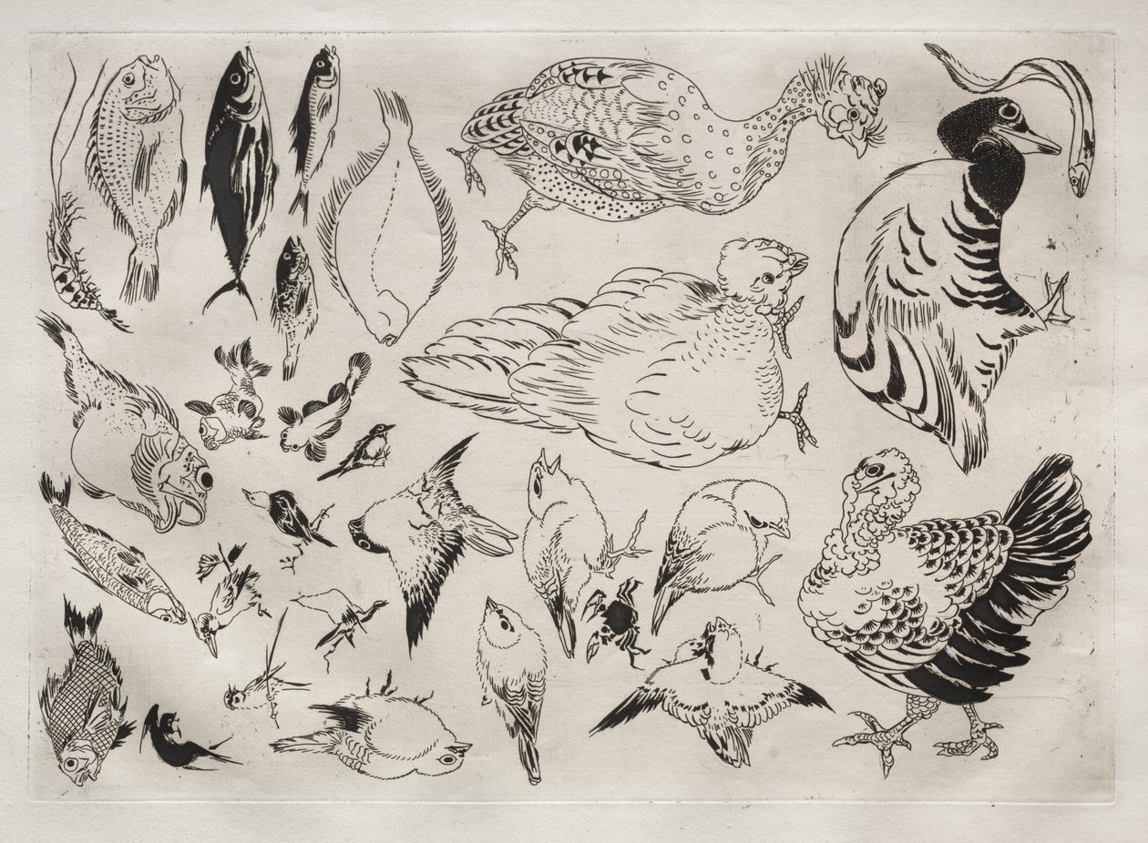 Serviço de jantar Serviço Rousseau: patos, peixes, etc. não. 12, 1866. de Felix Bracquemond