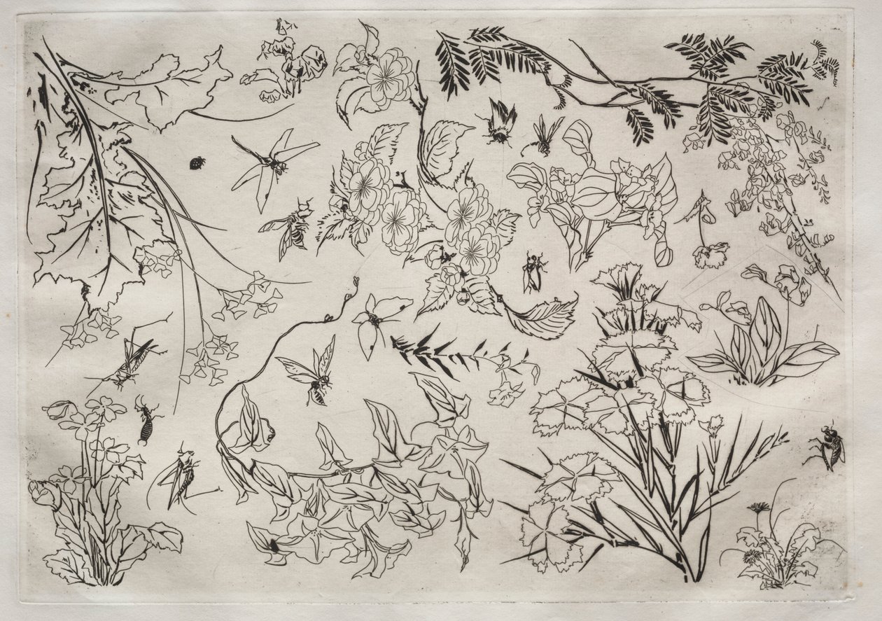 Serviço de Jantar Serviço Rousseau: Flores no. 22, 1866. de Felix Bracquemond