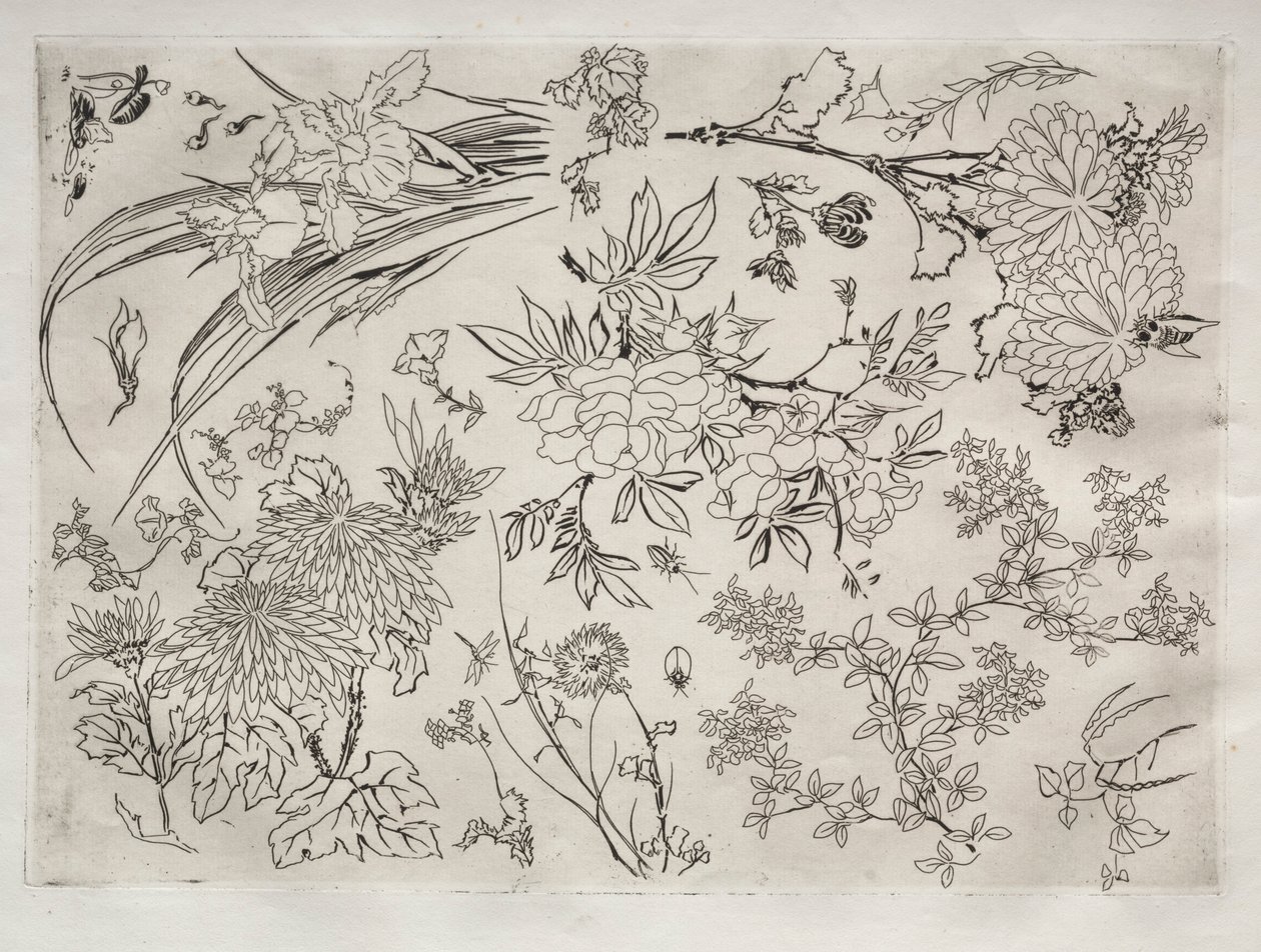 Serviço de Jantar Serviço Rousseau: Flores no. 23, 1866. de Felix Bracquemond