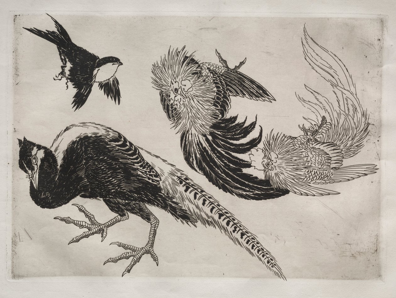 Serviço de jantar Serviço Rousseau: faisões e pássaros no. 18, 1866. de Felix Bracquemond