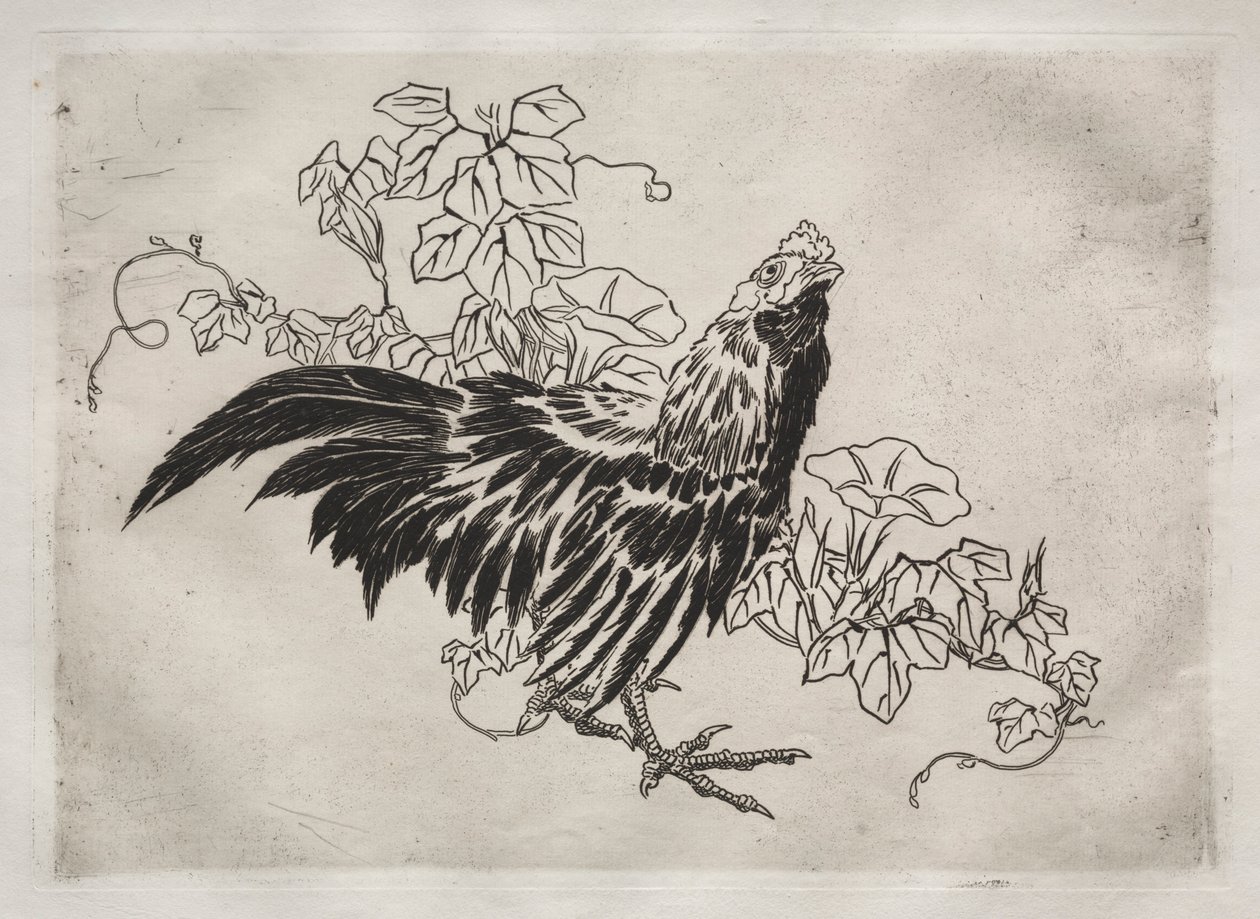 Serviço de Jantar Serviço Rousseau: Galo e corriolas no. 25, 1866. de Felix Bracquemond