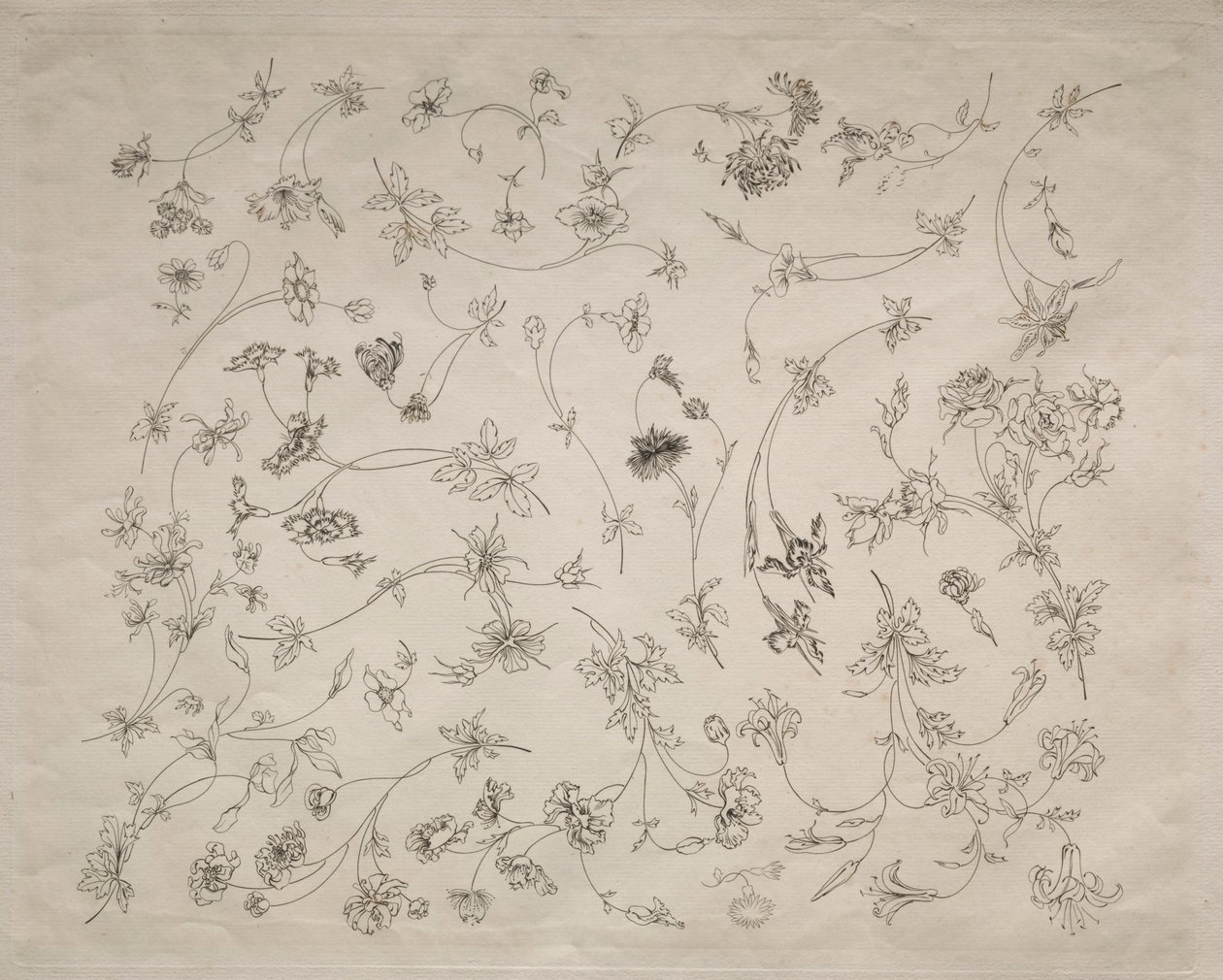 Desenhos de flores para pratos e bordaduras (n.º 14) de Felix Bracquemond