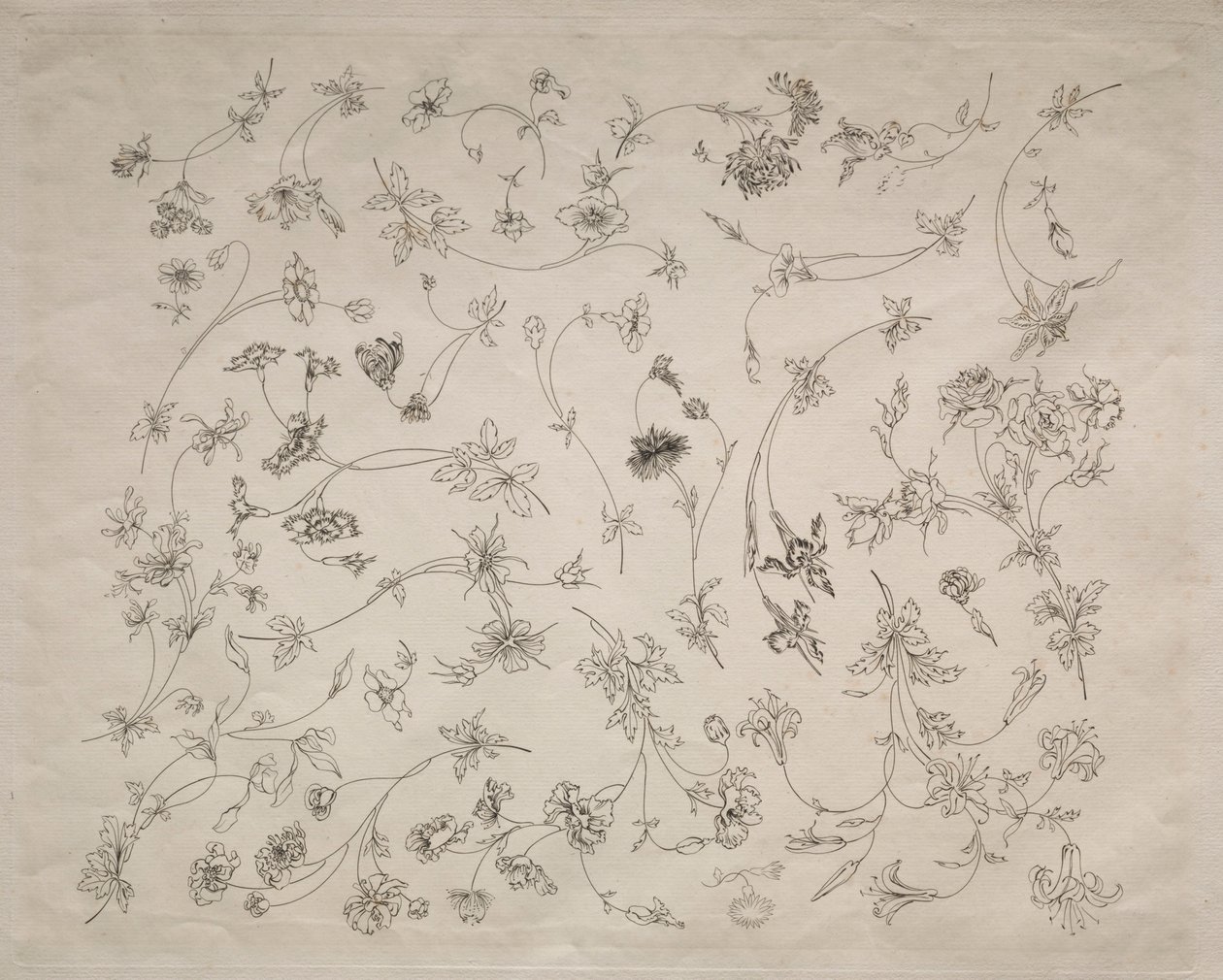 Desenhos de flores para pratos e bordas no. 14, 1872. de Felix Bracquemond