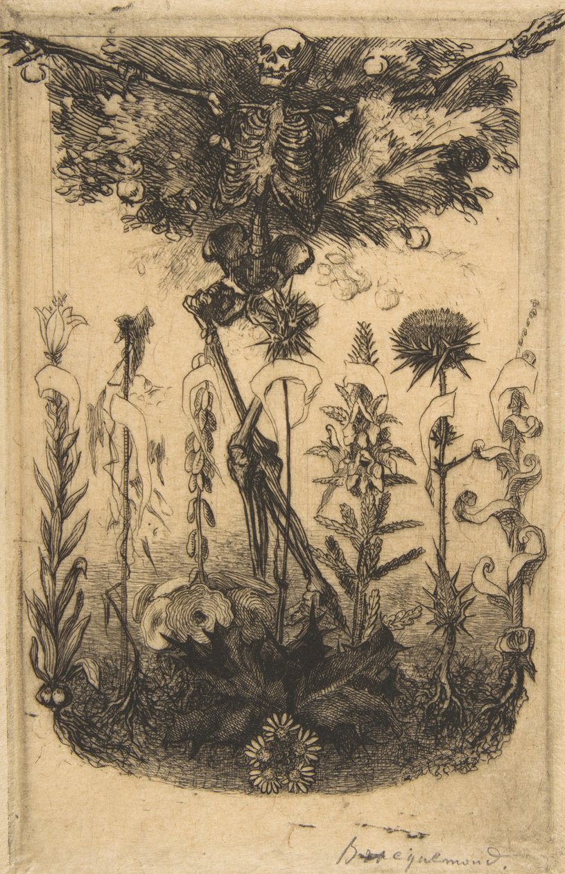 Floresta. de Felix Bracquemond
