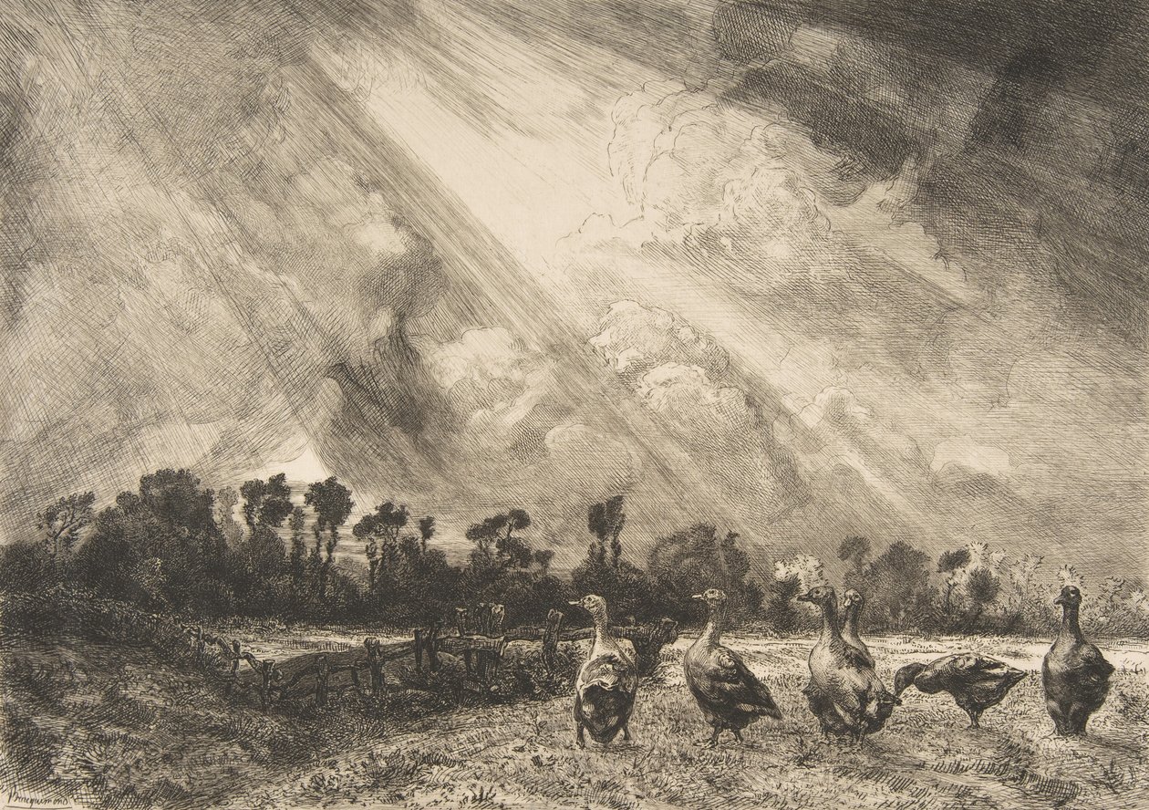 A nuvem de tempestade, 1882-84. de Felix Bracquemond