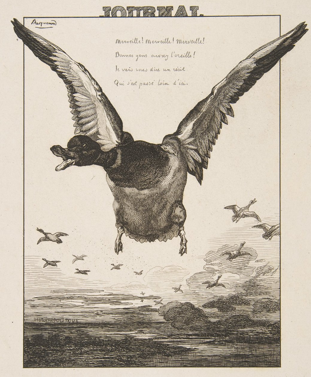 O Pato, 1856. de Felix Bracquemond