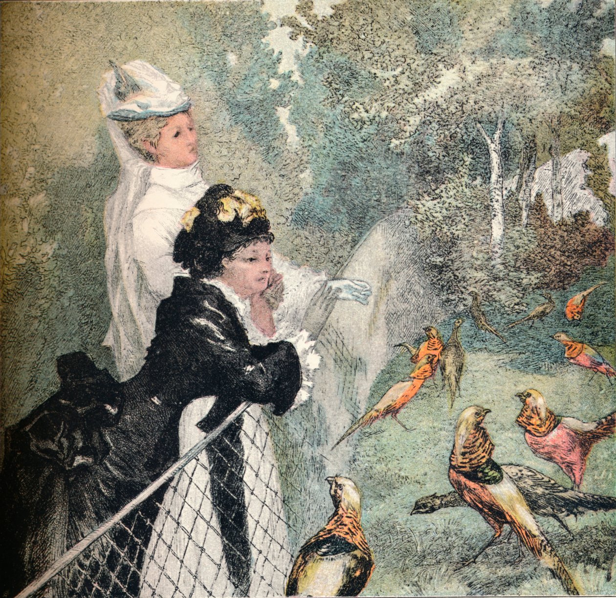 A jardinagem DAcclimatation, c1895 de Felix Bracquemond