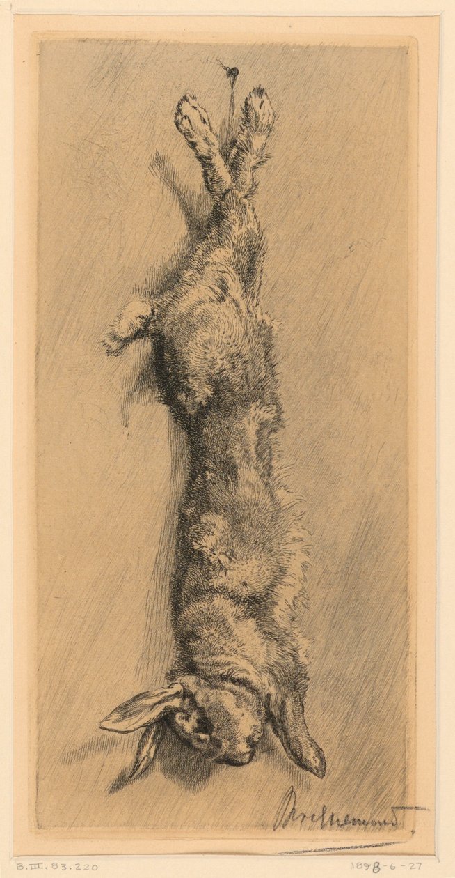 O Coelho Garenne de Felix Bracquemond