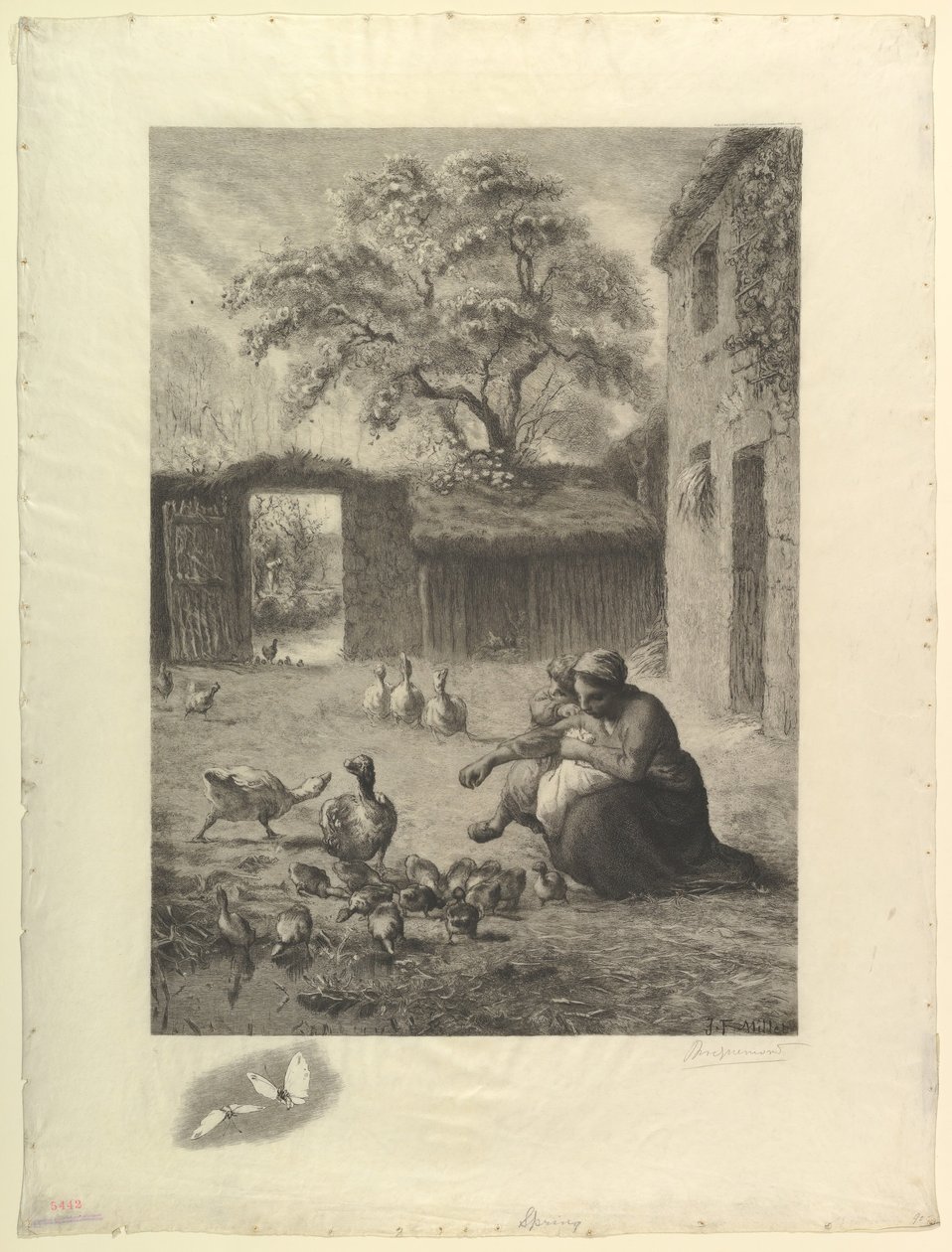Primavera, depois de um pastel de Millet, 1888. de Felix Bracquemond