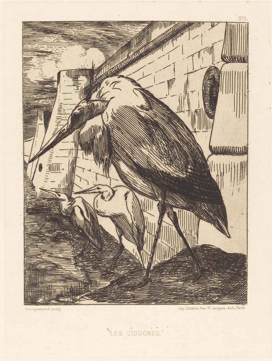 Les Cigognes (As Cegonhas) de Felix Bracquemond