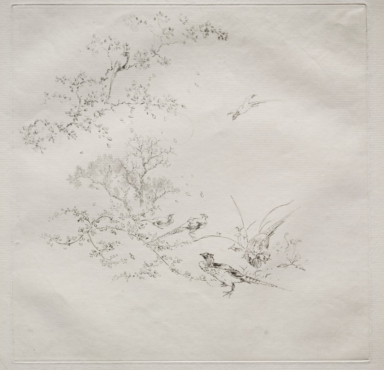 Serviço parisiense (serviço Haviland) de Felix Bracquemond