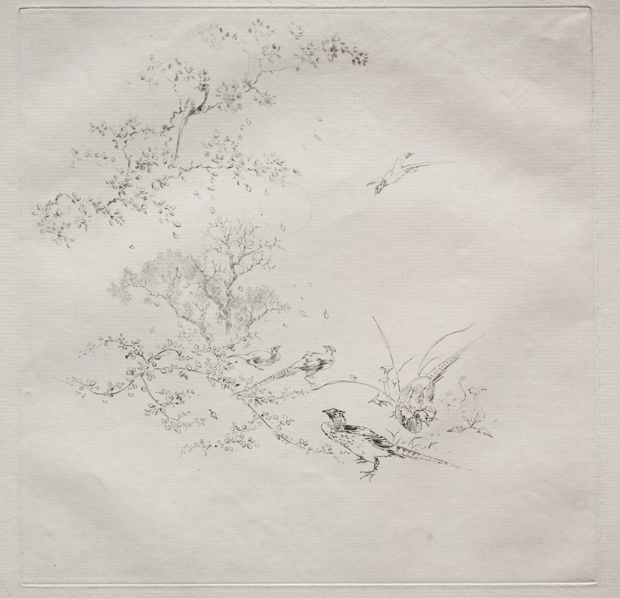 Serviço Parisiense Haviland Service: Nevoeiro n. 1, 1875. de Felix Bracquemond